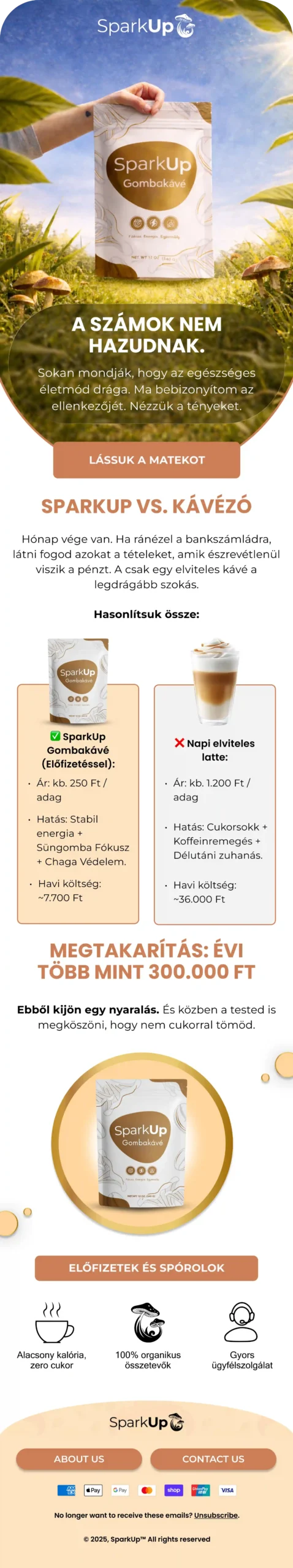 Coffee Brand Email Design