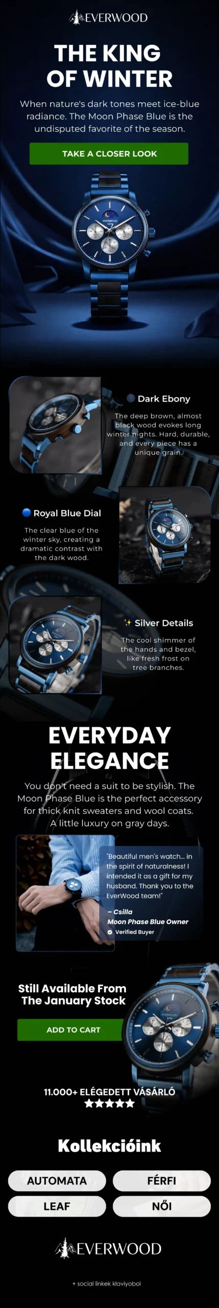 Watch Brand Email Design